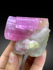Top Grade Pink Tourmaline on Quartz from Pachigram Afghanistan - 180 gram