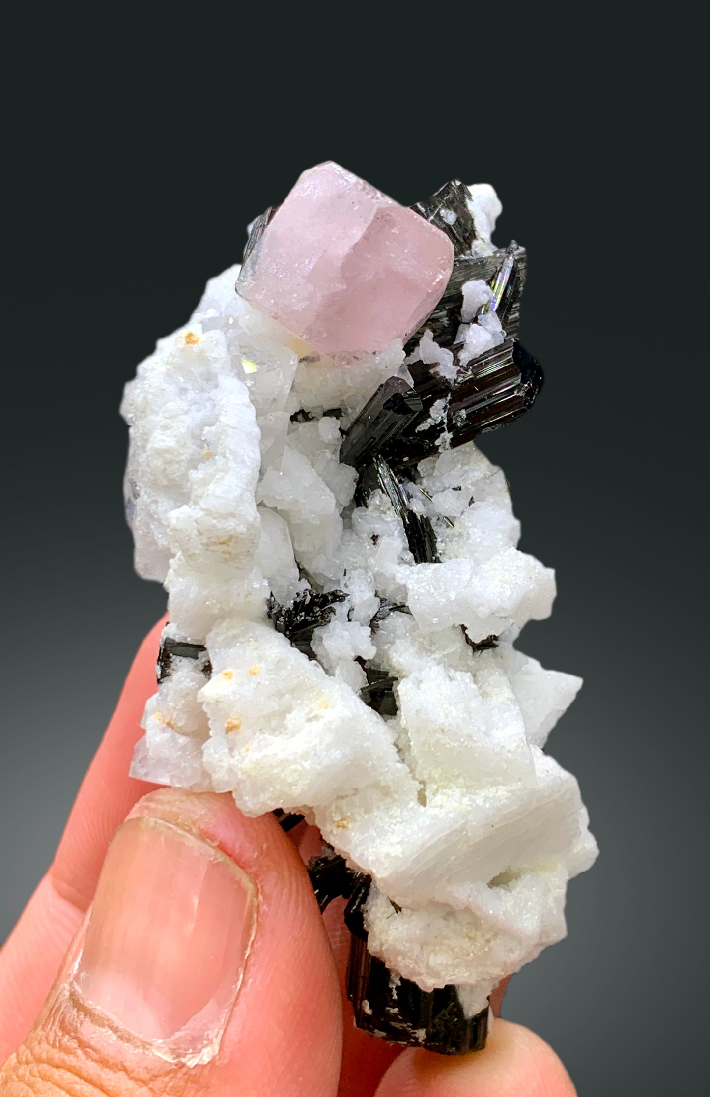 Natural Pink Apatite with Schorl Black Tourmalines and Feldspar, Apatite Crystal, Apatite Specimen from Skardu Pakistan - 47 gram