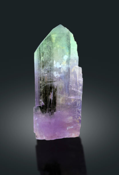 Transparent Bicolor Kunzite Crystal, Spodumene Kunzite, Raw Kunzite Stone, Kunzite Specimen, Kunzite from Afghanistan - 195 gram