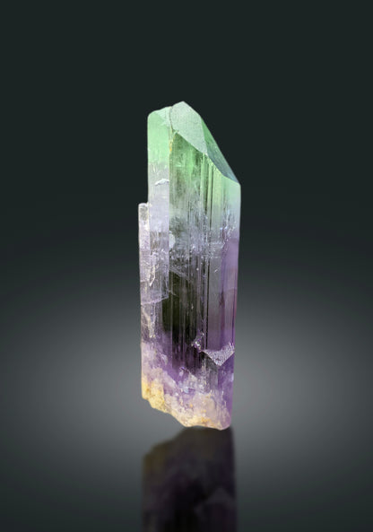 Transparent Bicolor Kunzite Crystal, Spodumene Kunzite, Raw Kunzite Stone, Kunzite Specimen, Kunzite from Afghanistan - 195 gram