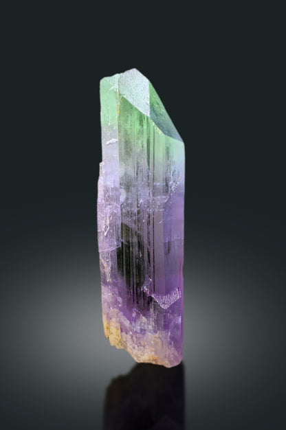 Transparent Bicolor Kunzite Crystal, Spodumene Kunzite, Raw Kunzite Stone, Kunzite Specimen, Kunzite from Afghanistan - 195 gram