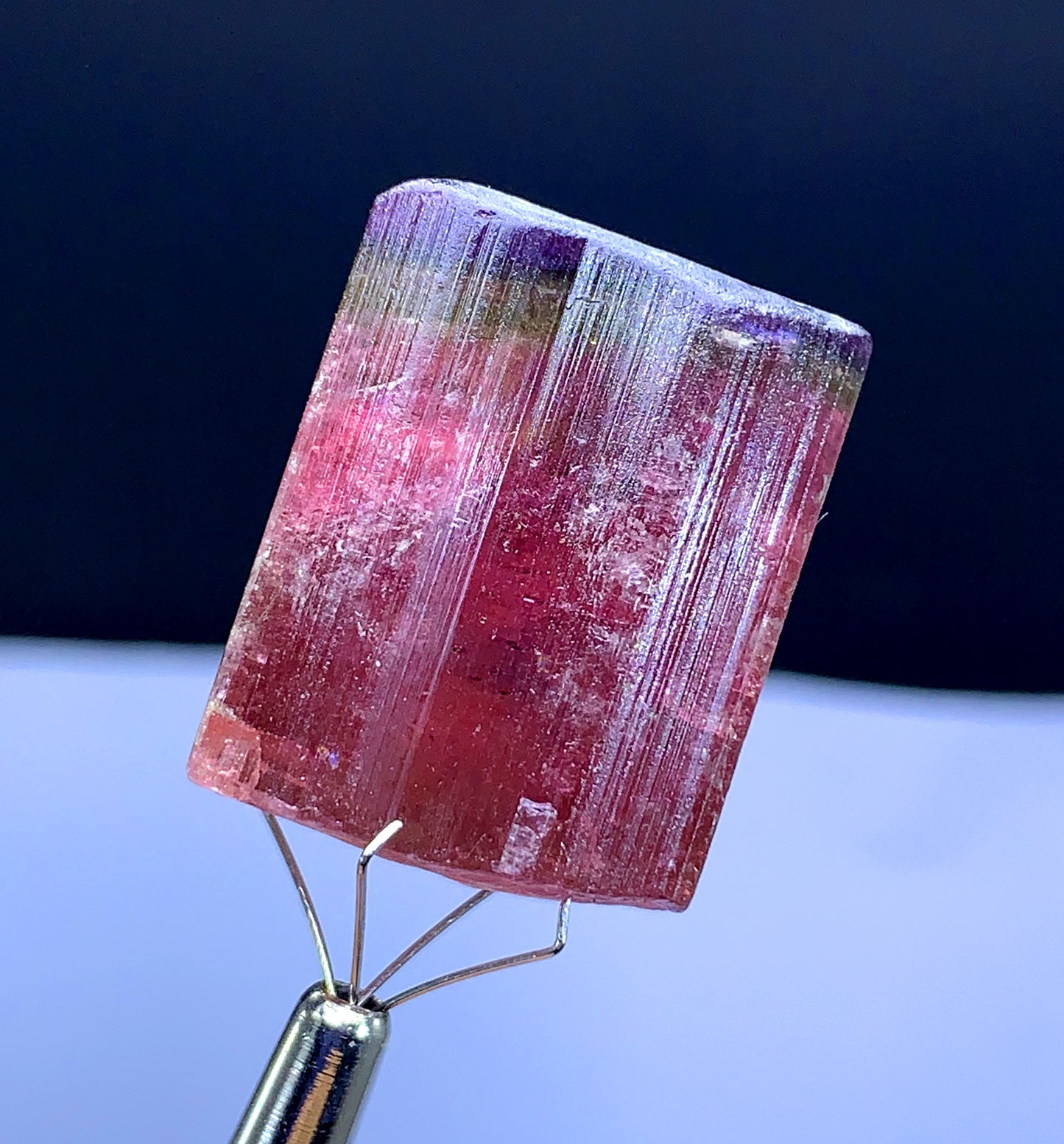 Natural Terminated Tricolor Tourmaline Crystal from Paprok Afghanistan - 129.95 carat