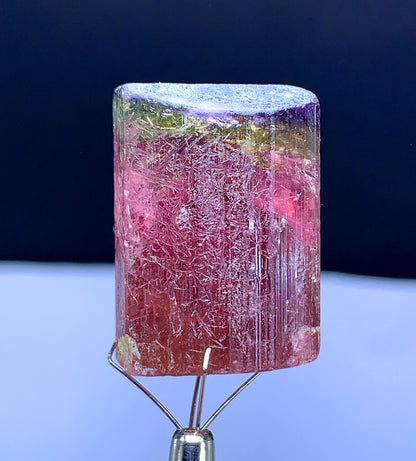 Natural Terminated Tricolor Tourmaline Crystal from Paprok Afghanistan - 129.95 carat