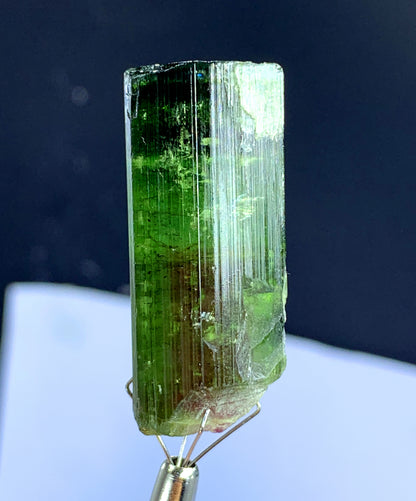 Natural Bicolor Tourmaline Crystal from Congo - 118.45 carat