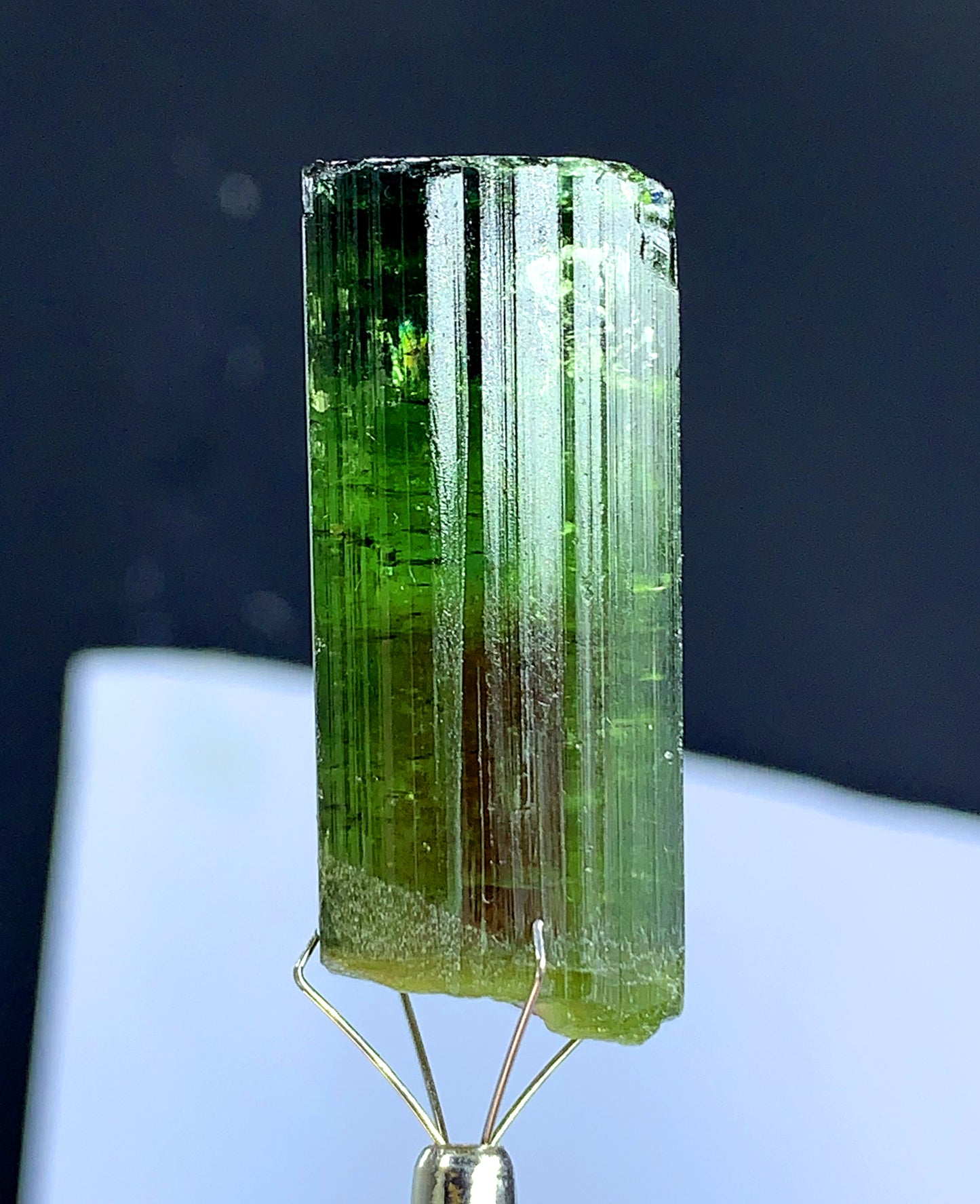 Natural Bicolor Tourmaline Crystal from Congo - 118.45 carat