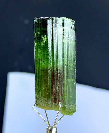 Natural Bicolor Tourmaline Crystal from Congo - 118.45 carat