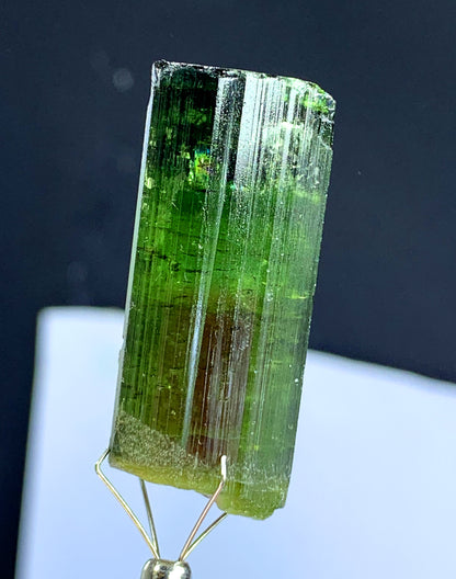 Natural Bicolor Tourmaline Crystal from Congo - 118.45 carat