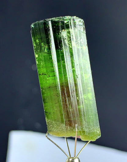 Natural Bicolor Tourmaline Crystal from Congo - 118.45 carat
