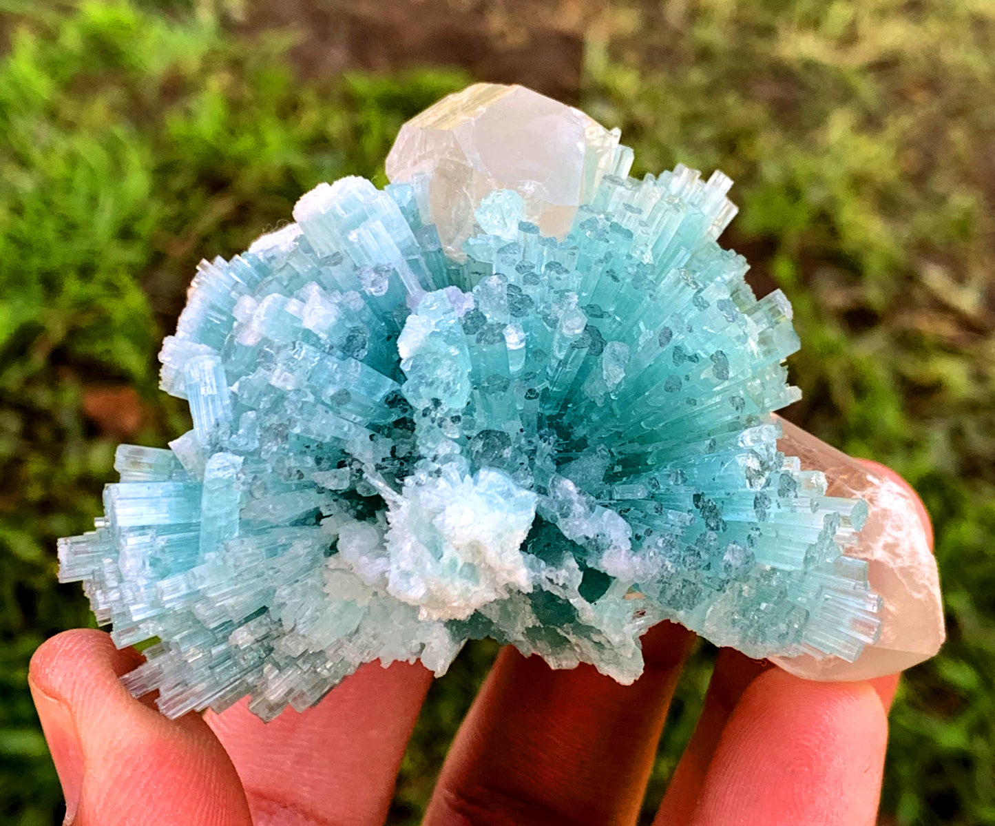 Paraiba Like Color Tourmalines Crystals Cluster on Quartz, Tourmaline Specimen, Raw Mineral, Tourmaline from Laghman Afghanistan - 171 gram