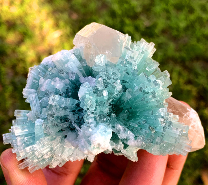 Paraiba Like Color Tourmalines Crystals Cluster on Quartz, Tourmaline Specimen, Raw Mineral, Tourmaline from Laghman Afghanistan - 171 gram