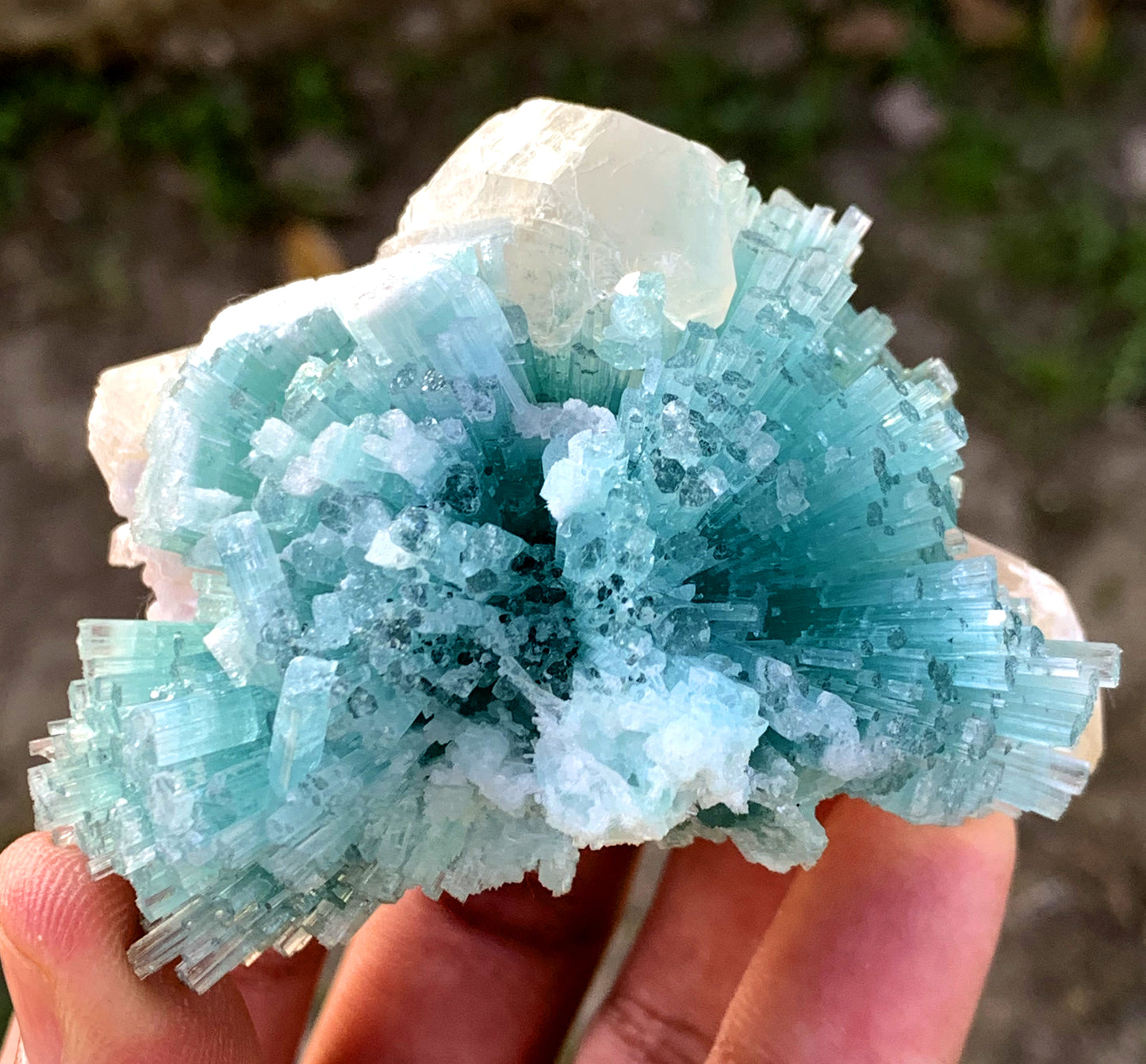 Paraiba Like Color Tourmalines Crystals Cluster on Quartz, Tourmaline Specimen, Raw Mineral, Tourmaline from Laghman Afghanistan - 171 gram