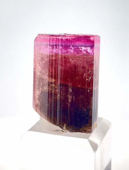 Tricolor Tourmaline Crystal from Afghanistan - 22.2 Gram