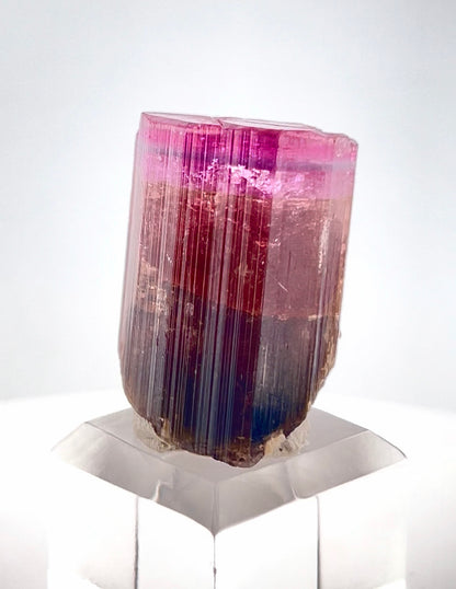 Tricolor Tourmaline Crystal from Afghanistan - 22.2 Gram