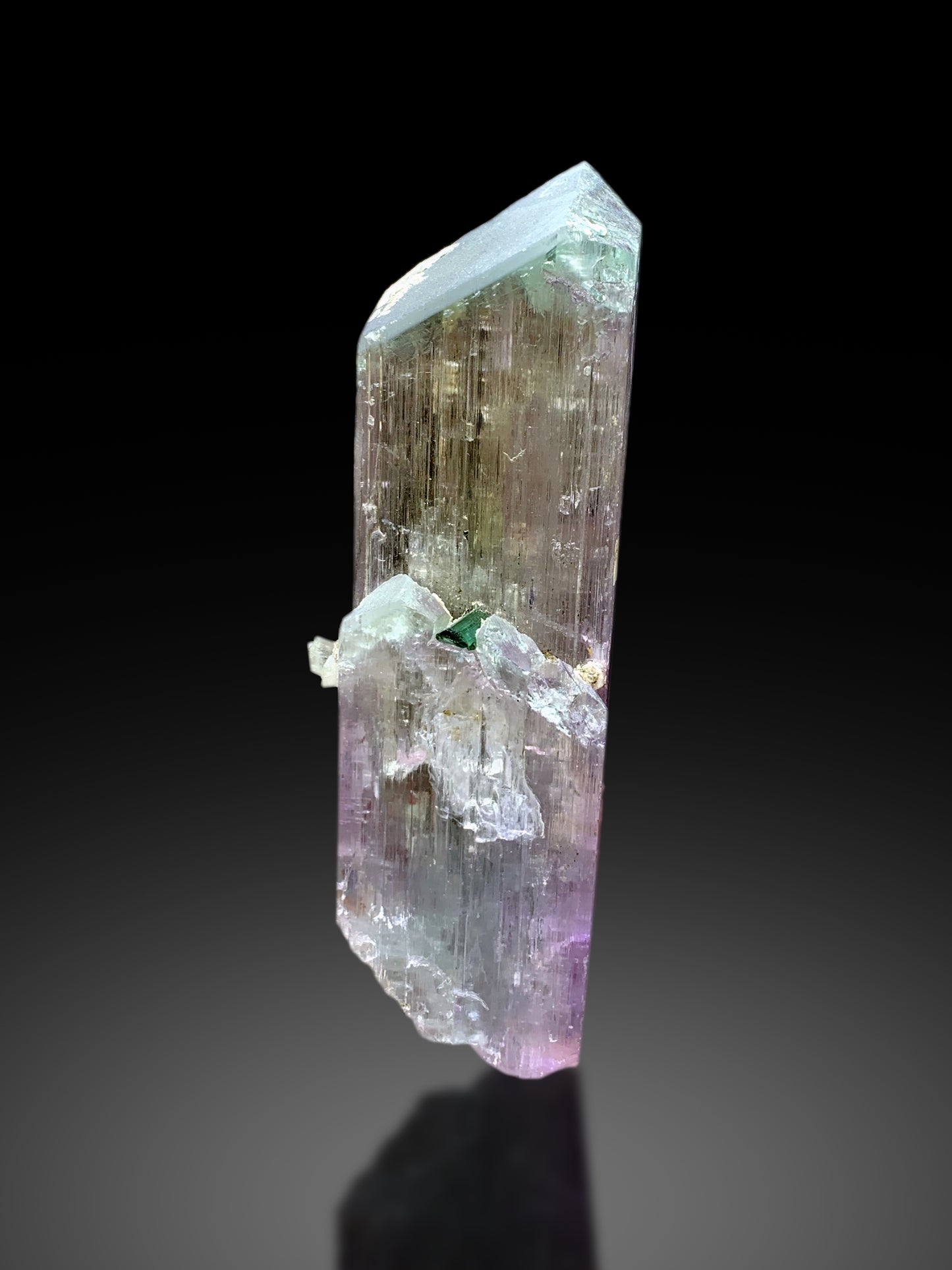Exquisite Bicolor Kunzite with Indicolite Tourmalines from Afghanistan - 563 gram