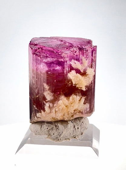 Tricolor Tourmaline Crystal from Afghanistan - 22.2 Gram