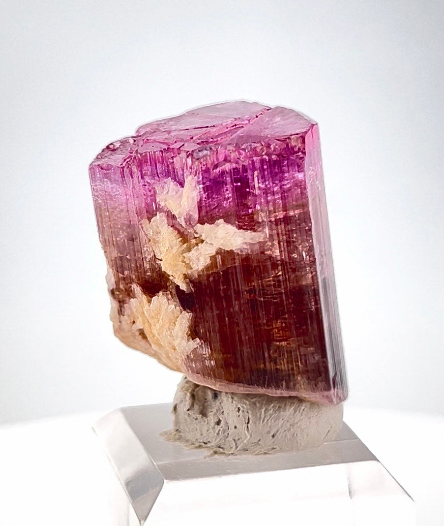 Tricolor Tourmaline Crystal from Afghanistan - 22.2 Gram