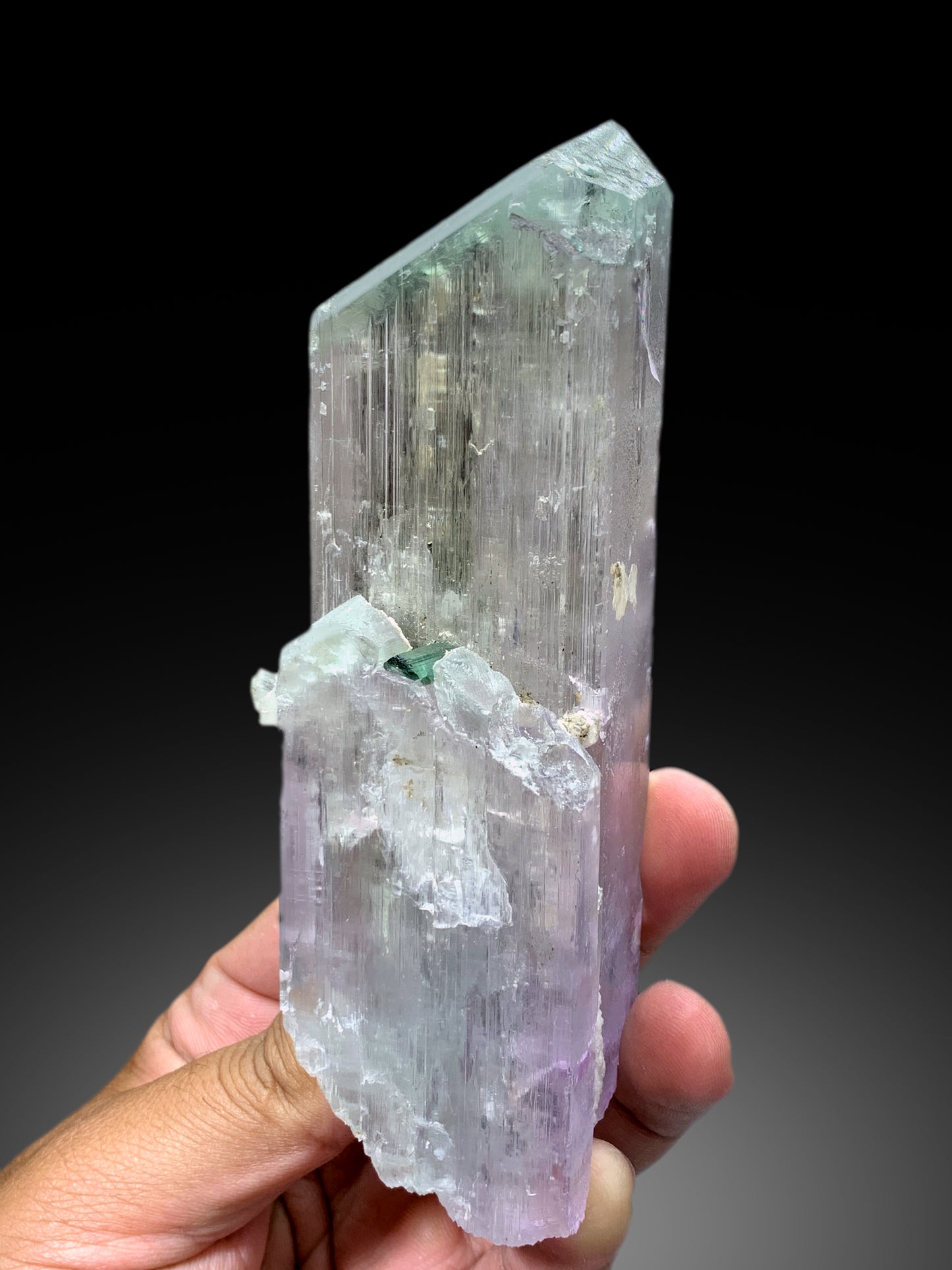 Exquisite Bicolor Kunzite with Indicolite Tourmalines from Afghanistan - 563 gram