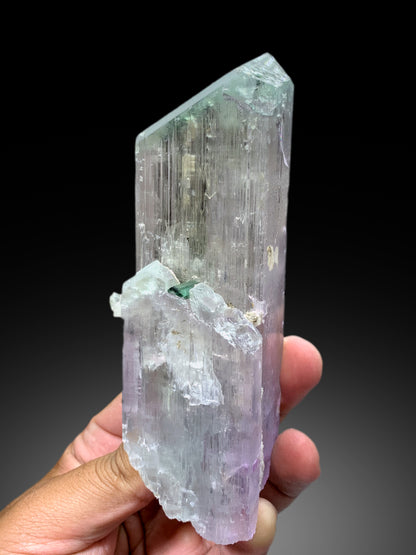Exquisite Bicolor Kunzite with Indicolite Tourmalines from Afghanistan - 563 gram