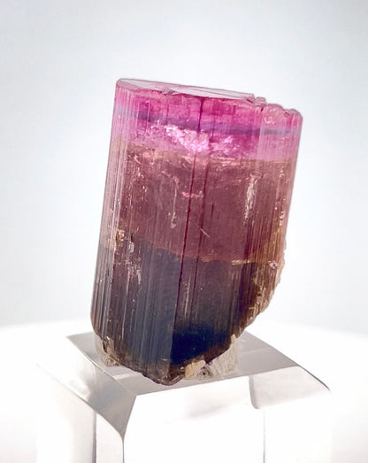 Tricolor Tourmaline Crystal from Afghanistan - 22.2 Gram