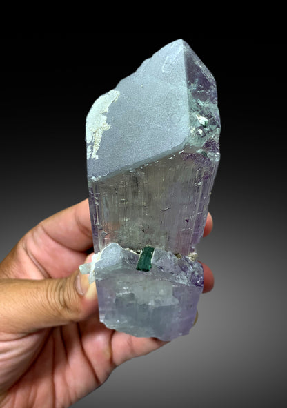 Exquisite Bicolor Kunzite with Indicolite Tourmalines from Afghanistan - 563 gram