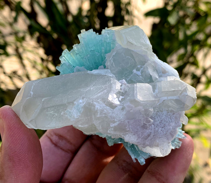 Paraiba Like Color Tourmalines Crystals Cluster on Quartz, Tourmaline Specimen, Raw Mineral, Tourmaline from Laghman Afghanistan - 171 gram