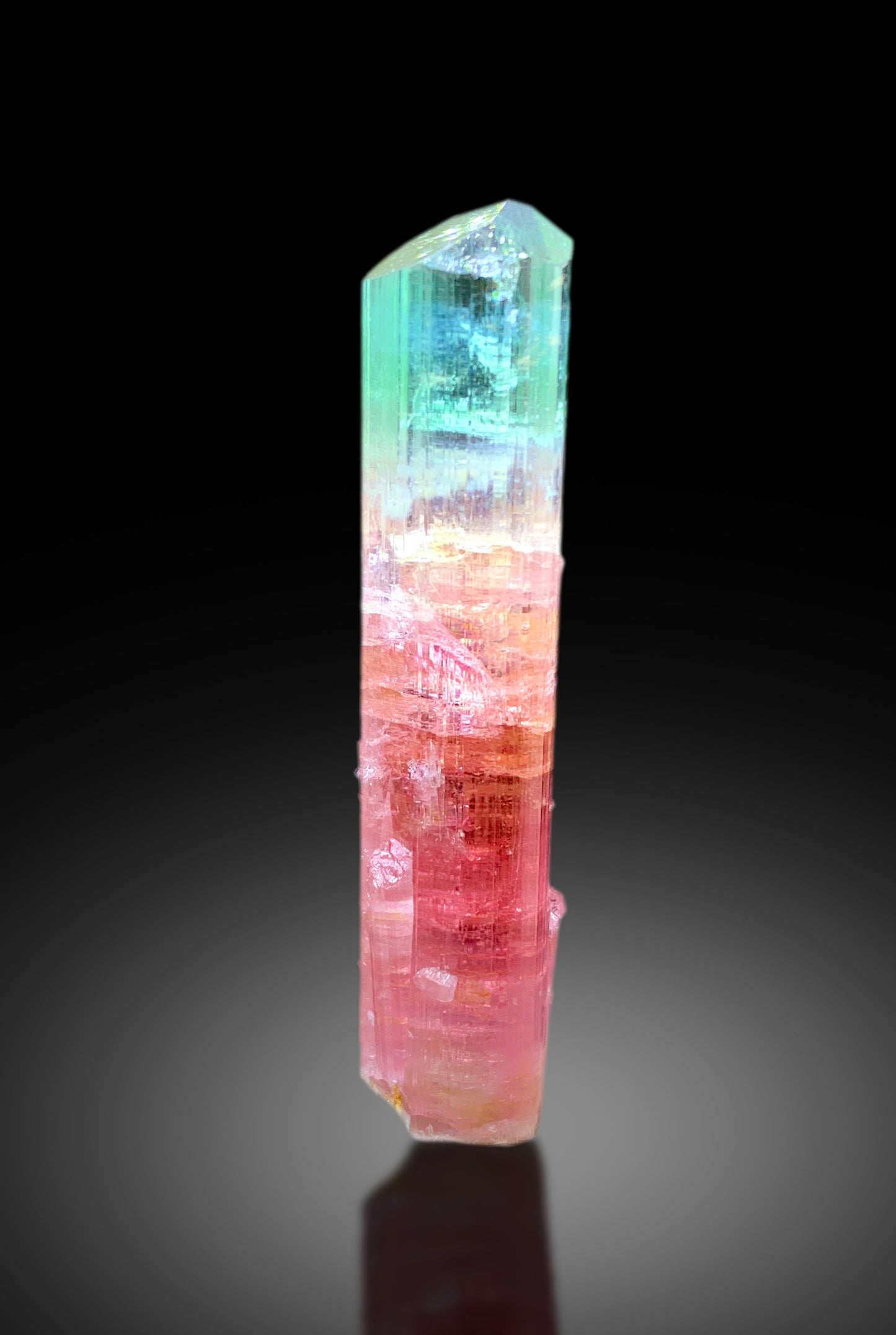 Collectors Choice Bicolor Tourmaline Crystal from Dara-i-Pech Afghanistan - 55 gram