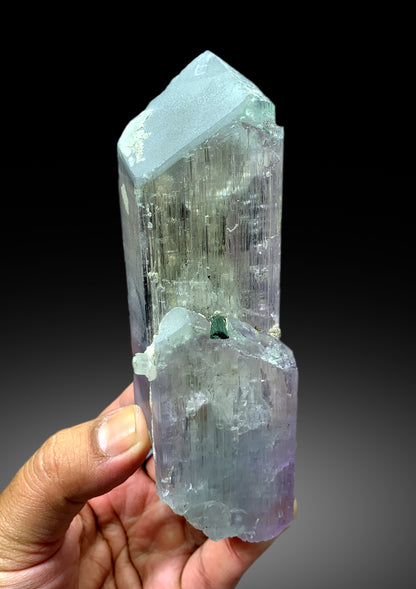 Exquisite Bicolor Kunzite with Indicolite Tourmalines from Afghanistan - 563 gram