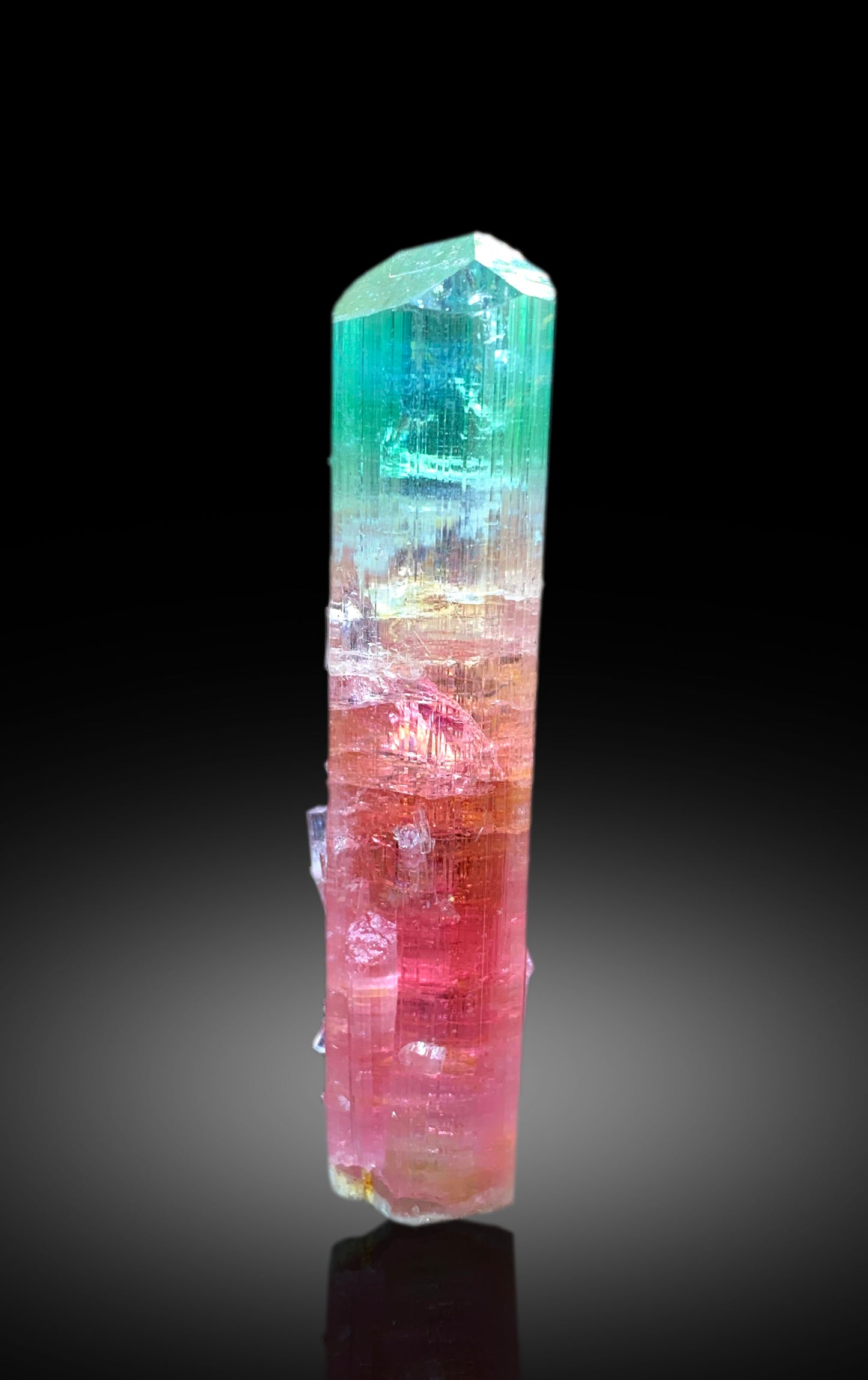 Collectors Choice Bicolor Tourmaline Crystal from Dara-i-Pech Afghanistan - 55 gram