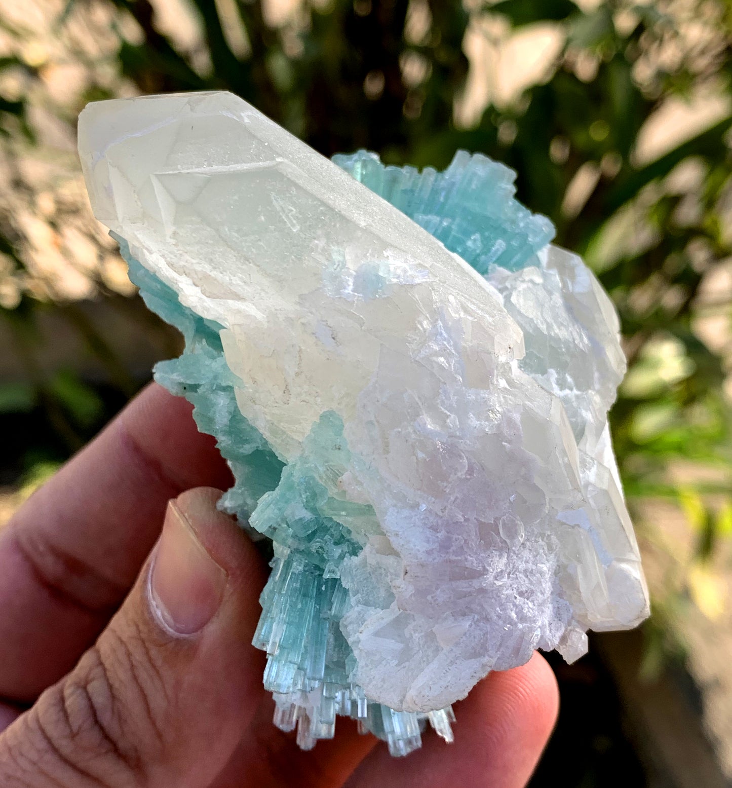 Paraiba Like Color Tourmalines Crystals Cluster on Quartz, Tourmaline Specimen, Raw Mineral, Tourmaline from Laghman Afghanistan - 171 gram