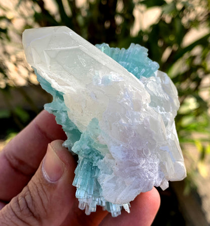 Paraiba Like Color Tourmalines Crystals Cluster on Quartz, Tourmaline Specimen, Raw Mineral, Tourmaline from Laghman Afghanistan - 171 gram