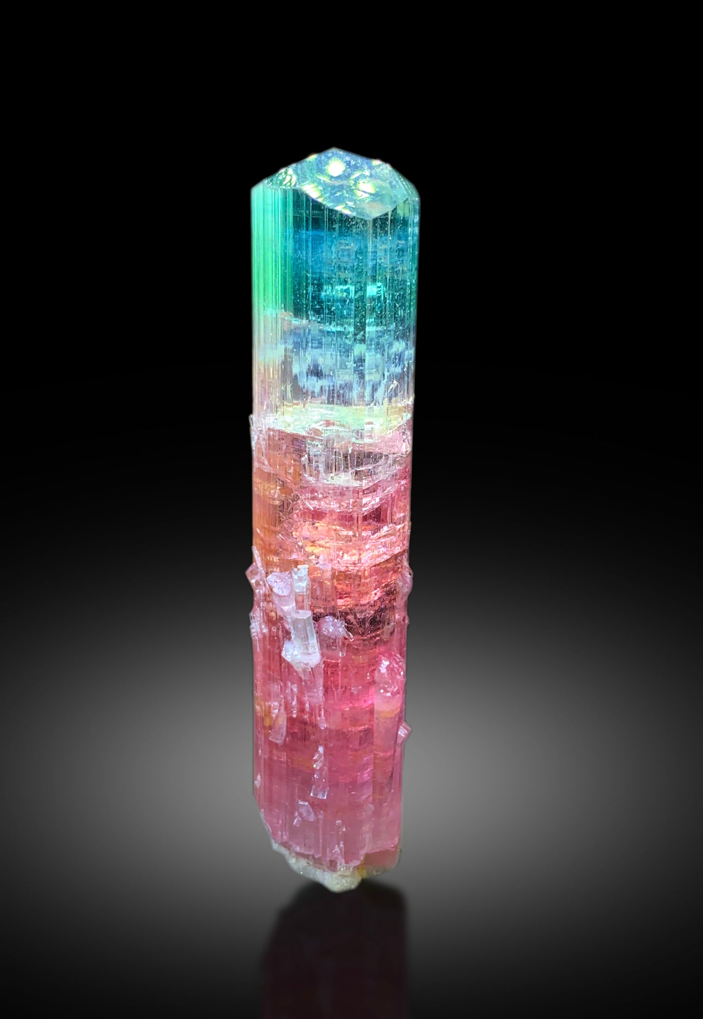 Collectors Choice Bicolor Tourmaline Crystal from Dara-i-Pech Afghanistan - 55 gram