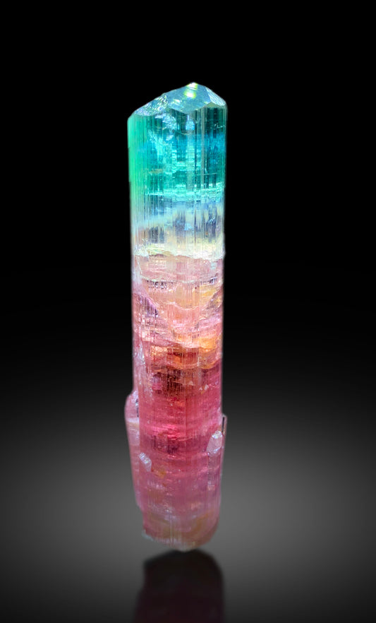 Collectors Choice Bicolor Tourmaline Crystal from Dara-i-Pech Afghanistan - 55 gram