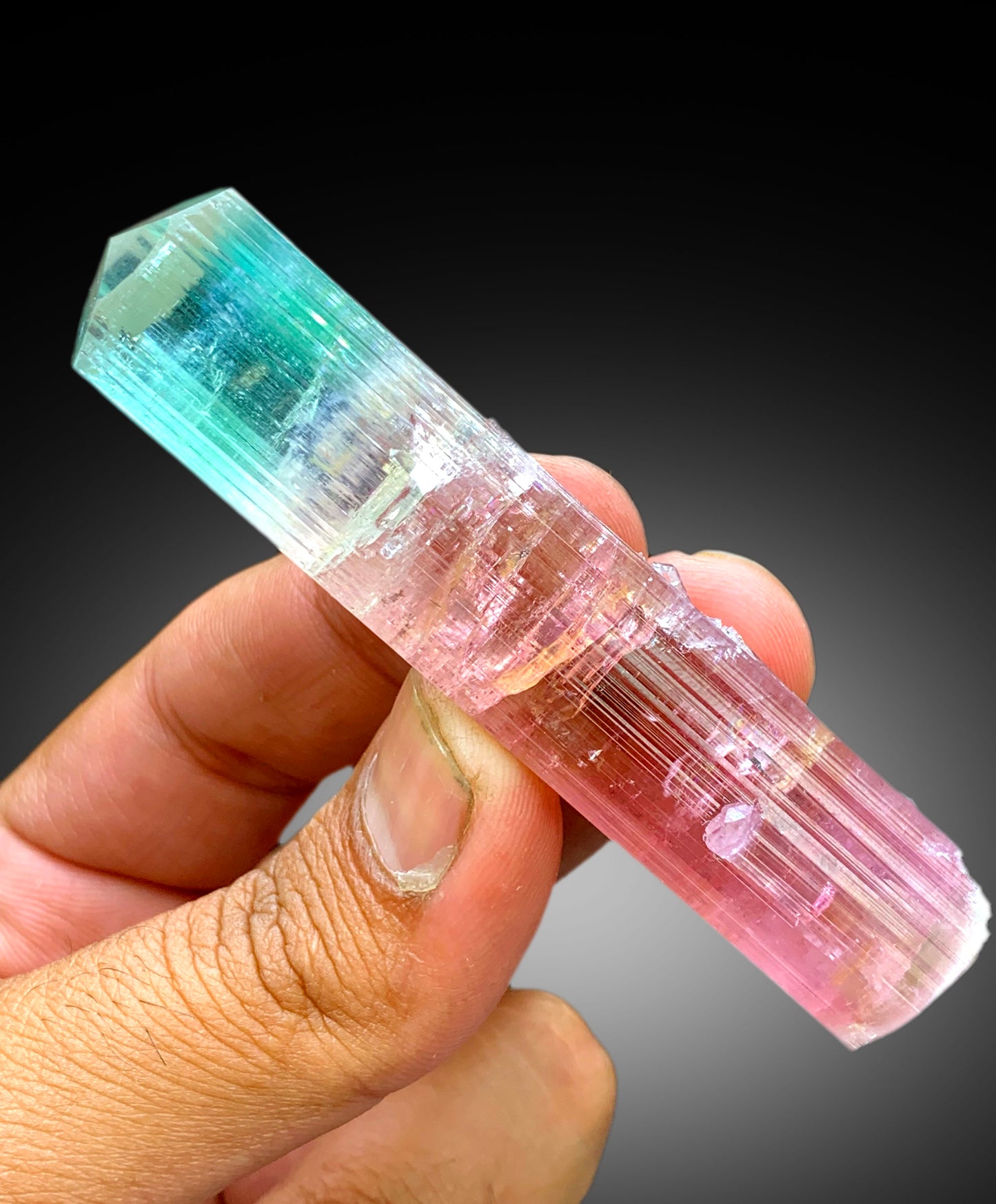 Collectors Choice Bicolor Tourmaline Crystal from Dara-i-Pech Afghanistan - 55 gram