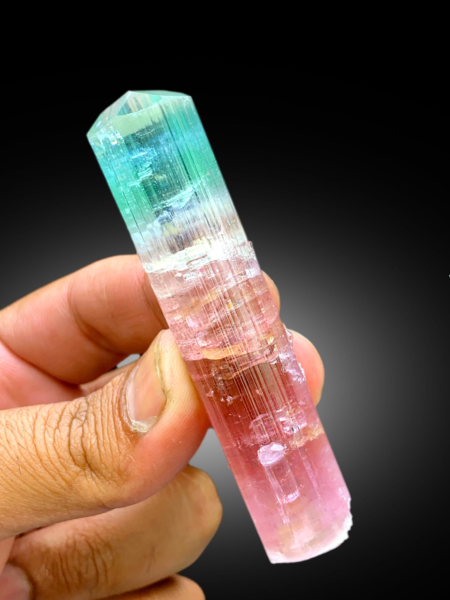 Collectors Choice Bicolor Tourmaline Crystal from Dara-i-Pech Afghanistan - 55 gram