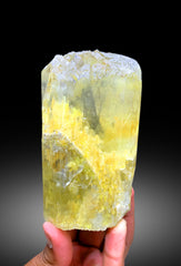 Yellow Color Triphane Kunzite Crystal from Afghanistan - 708 gram