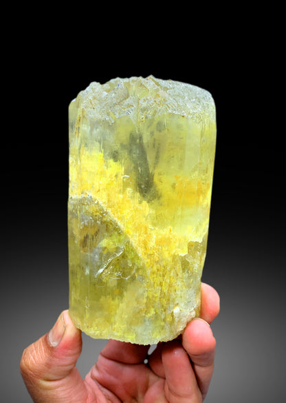 Yellow Color Triphane Kunzite Crystal from Afghanistan - 708 gram
