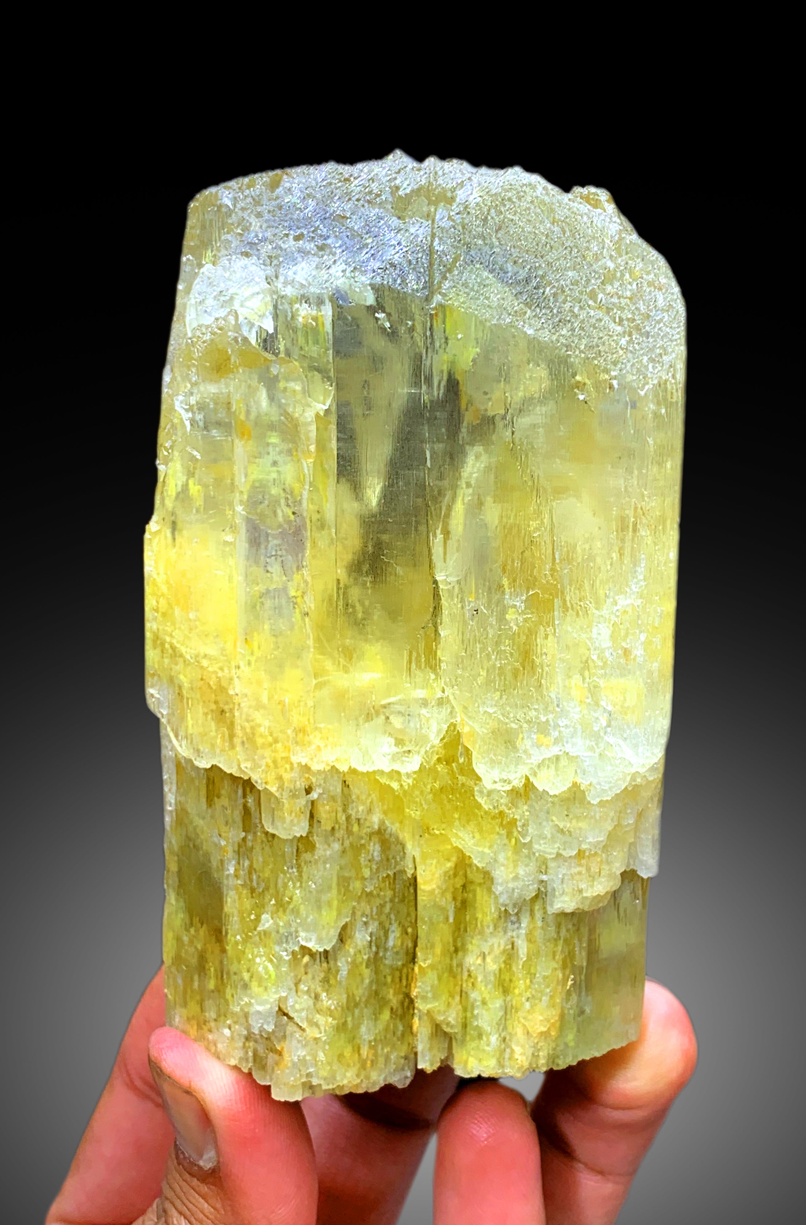 Yellow Color Triphane Kunzite Crystal from Afghanistan - 708 gram