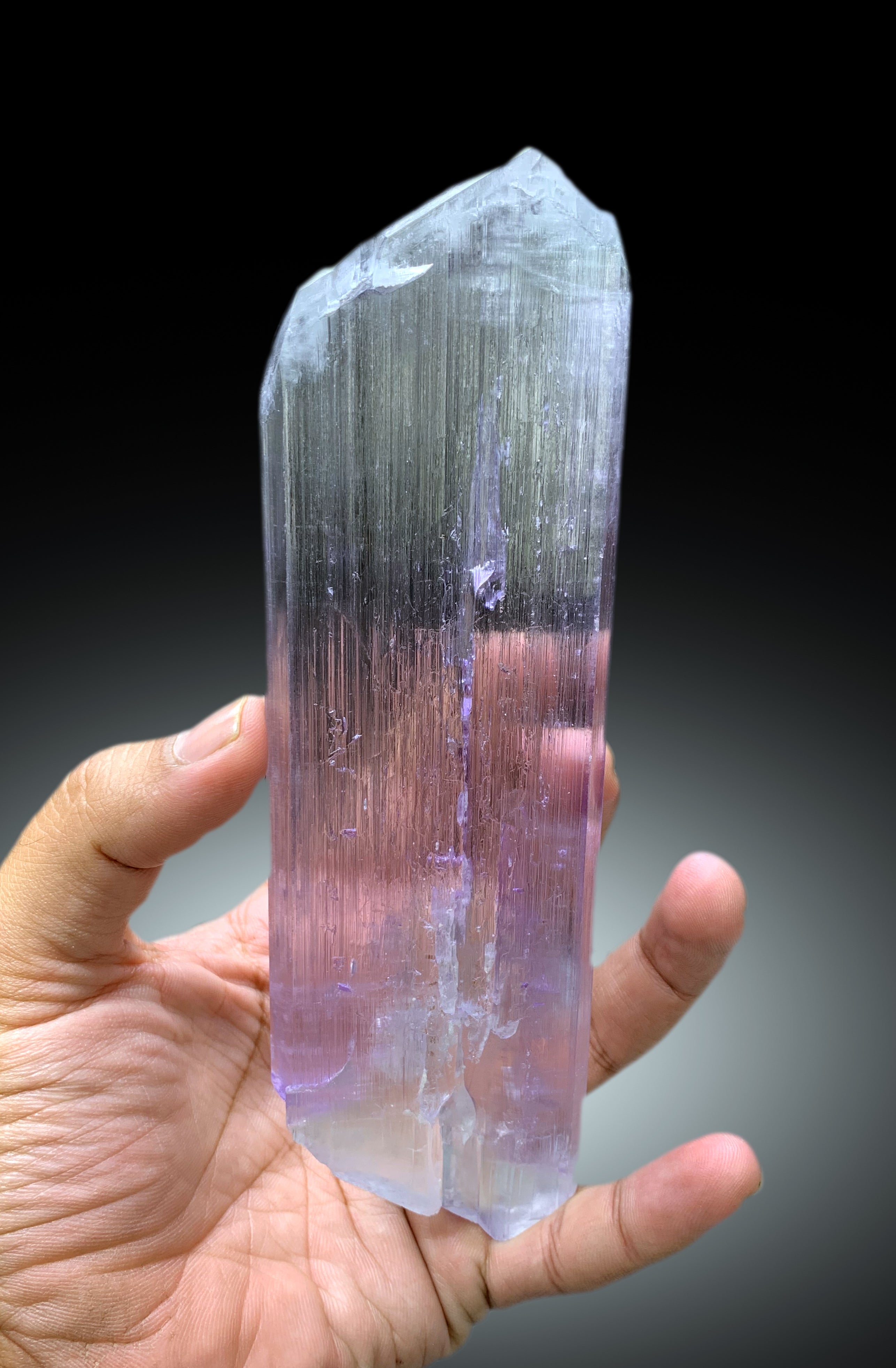 Bicolour Spodumene var Kunzite Crystal from Afghanistan , 328 gram