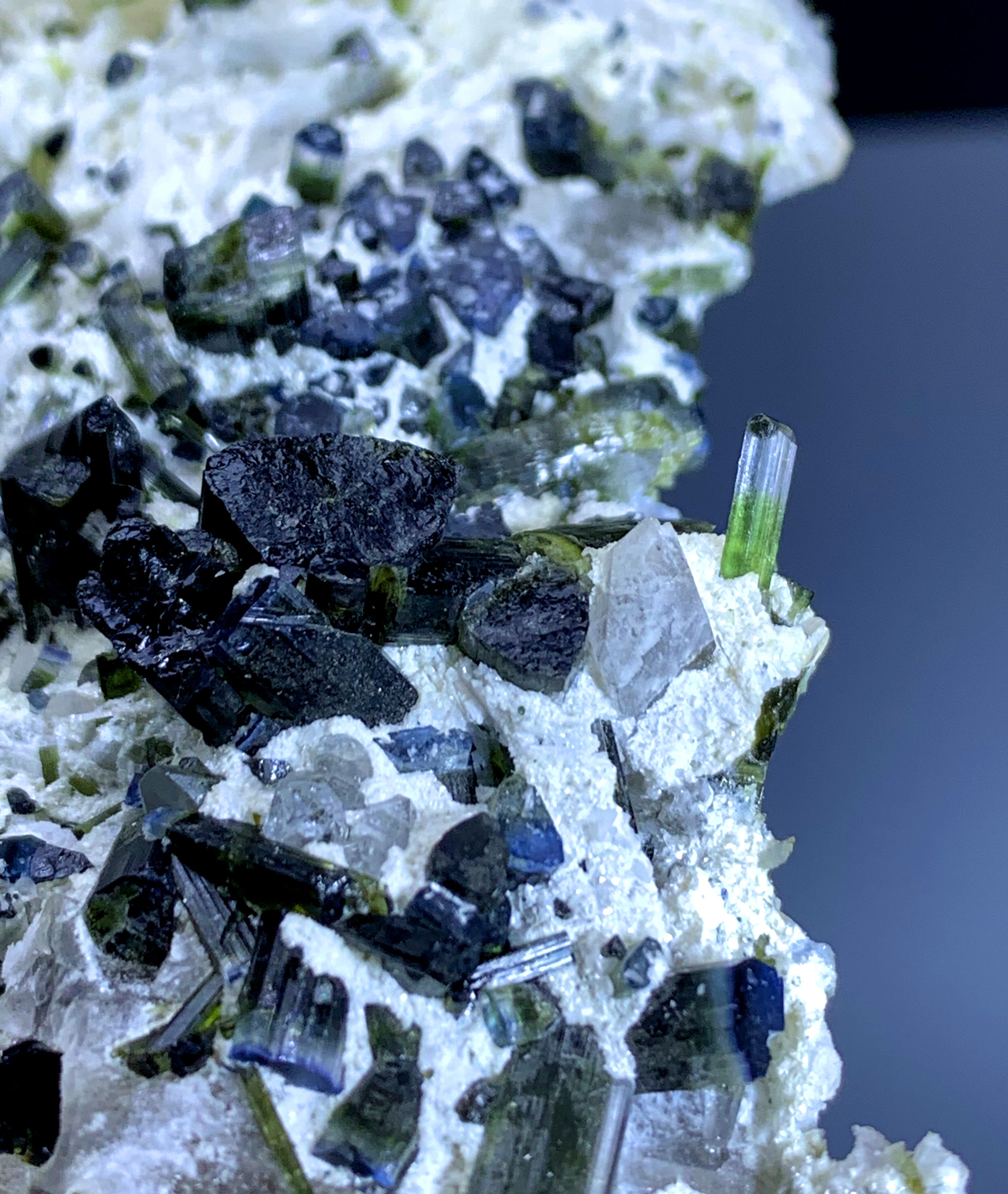 Bicolor Tourmaline Cluster on Albite from Afghanistan - 259 gram