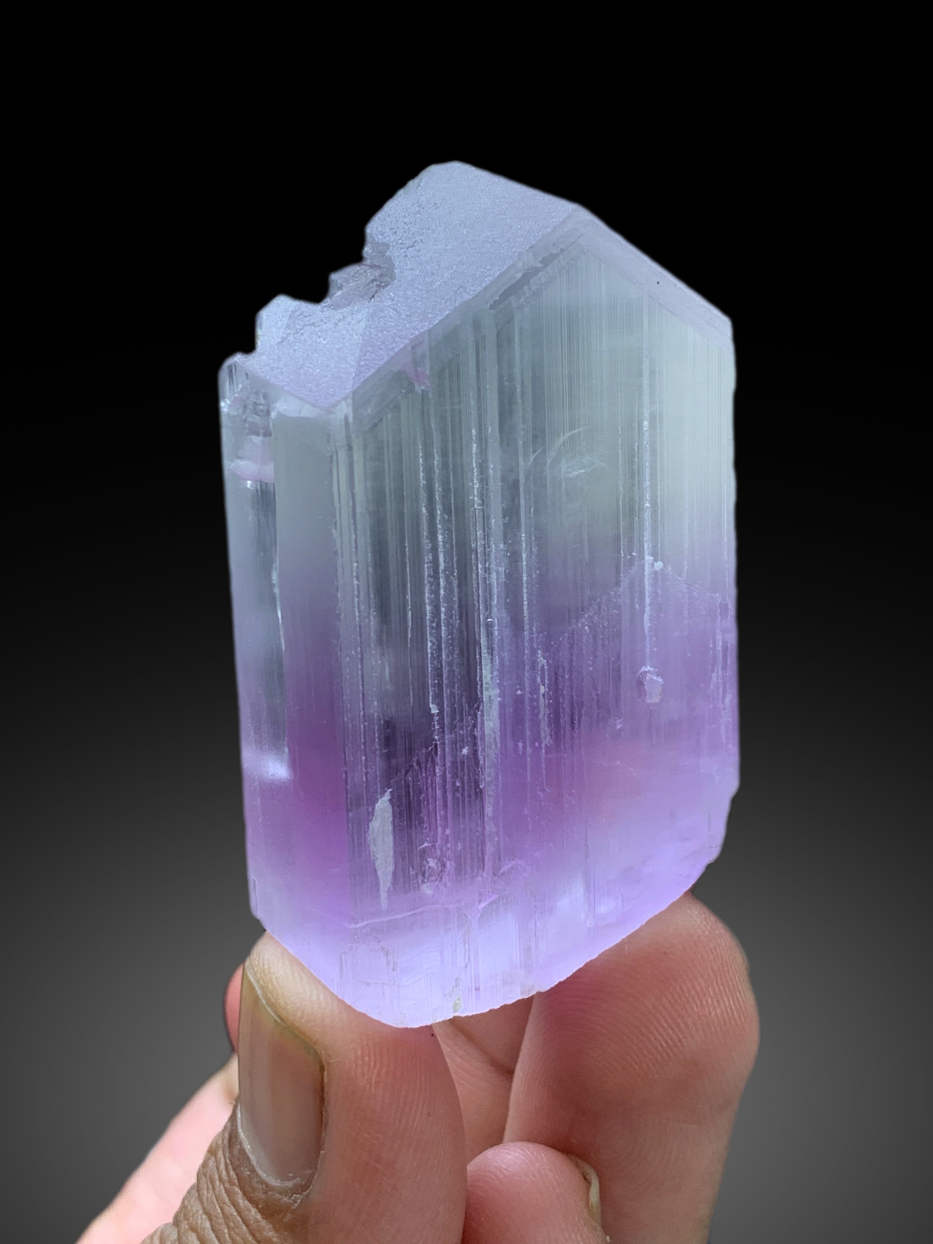 V Shape Terminated Bicolor Kunzite Crystal from Nuristan Afghanistan - 82 gram