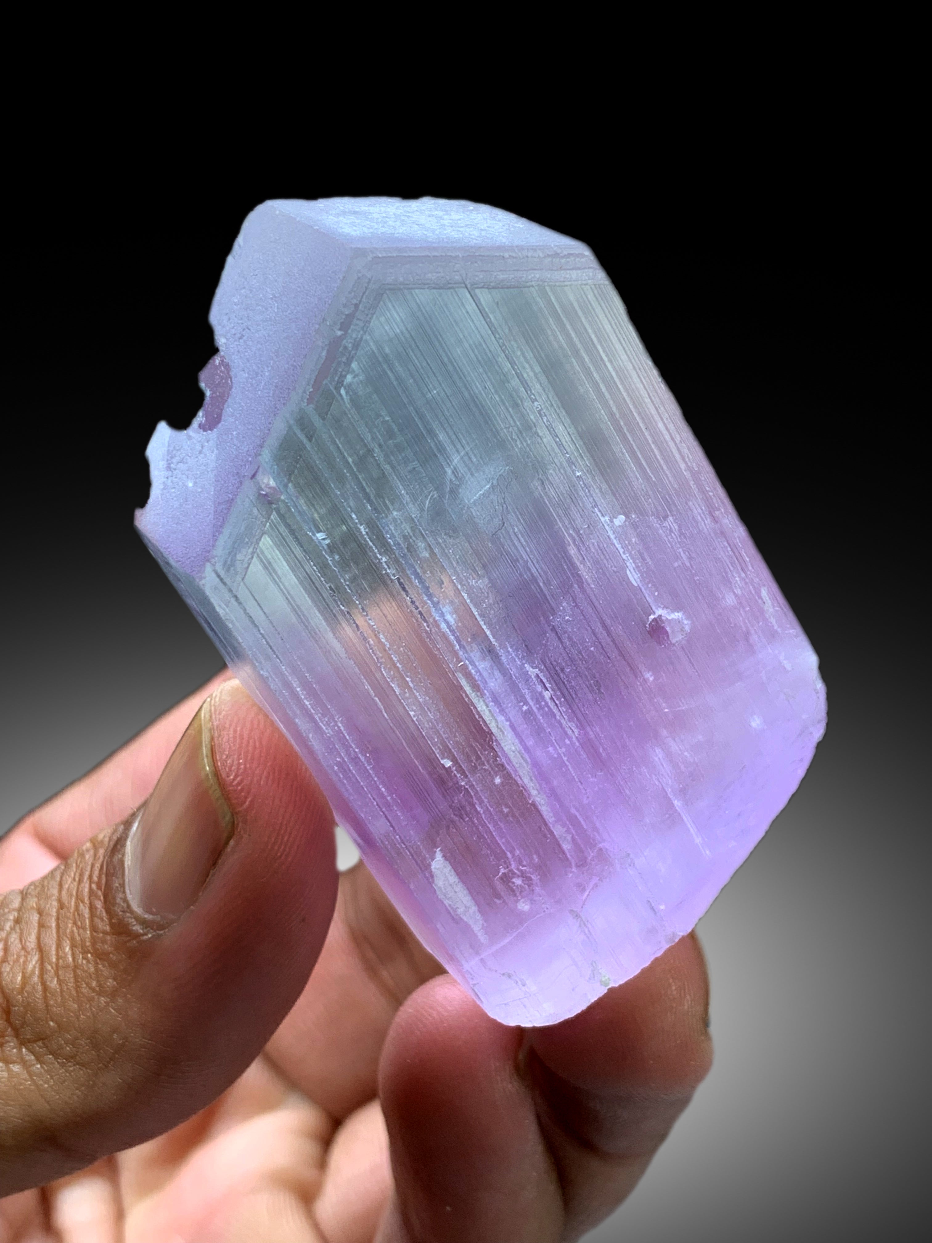 V Shape Terminated Bicolor Kunzite Crystal from Nuristan Afghanistan - 82 gram