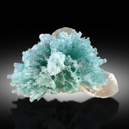 Paraiba Like Color Tourmalines Crystals Cluster on Quartz, Tourmaline Specimen, Raw Mineral, Tourmaline from Laghman Afghanistan - 171 gram