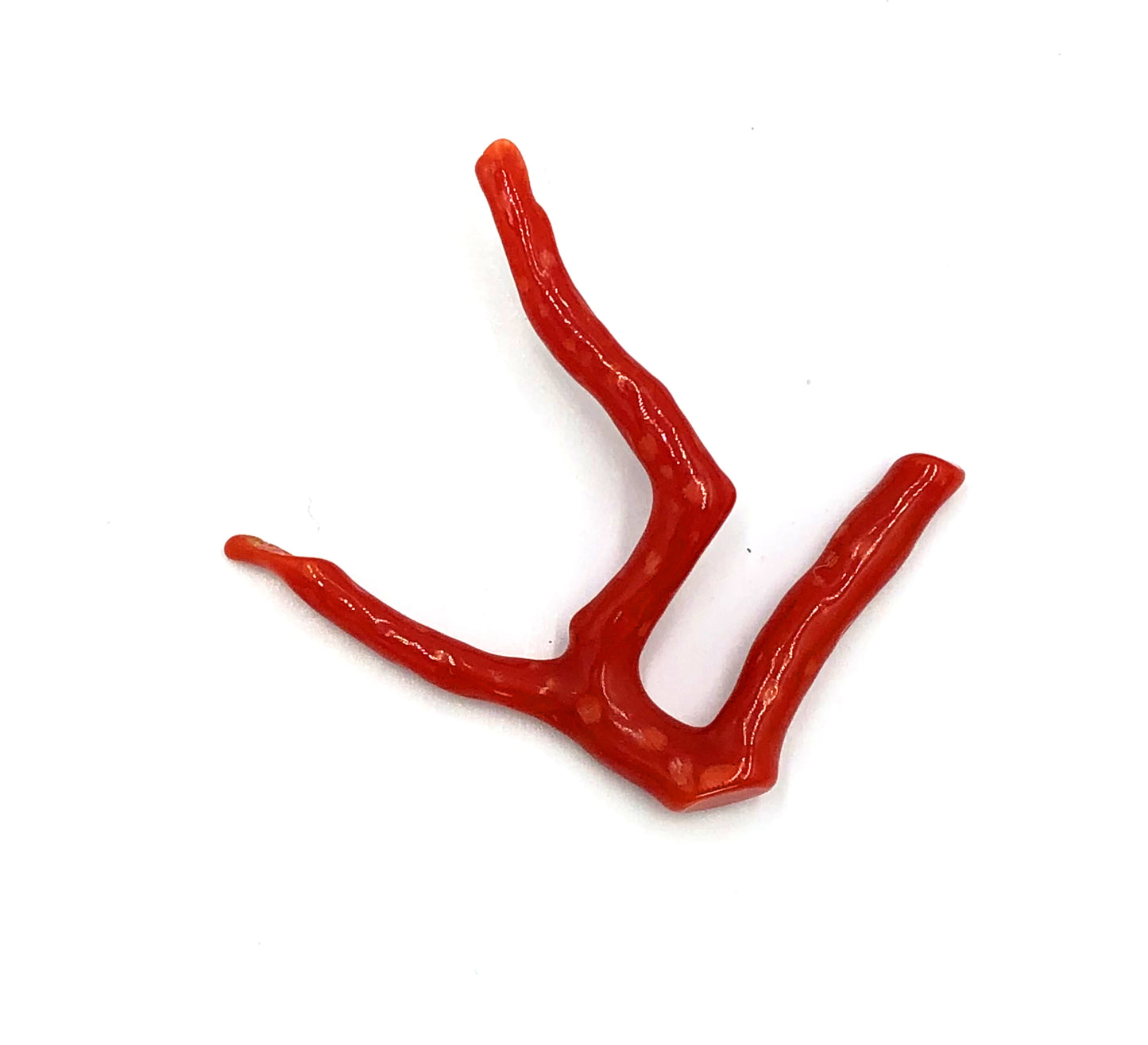 Tree Shape Mediterranean Red Coral, Making jewellery Branch, Natural Shape Coral Lop, Not Dyed, 100% Natural