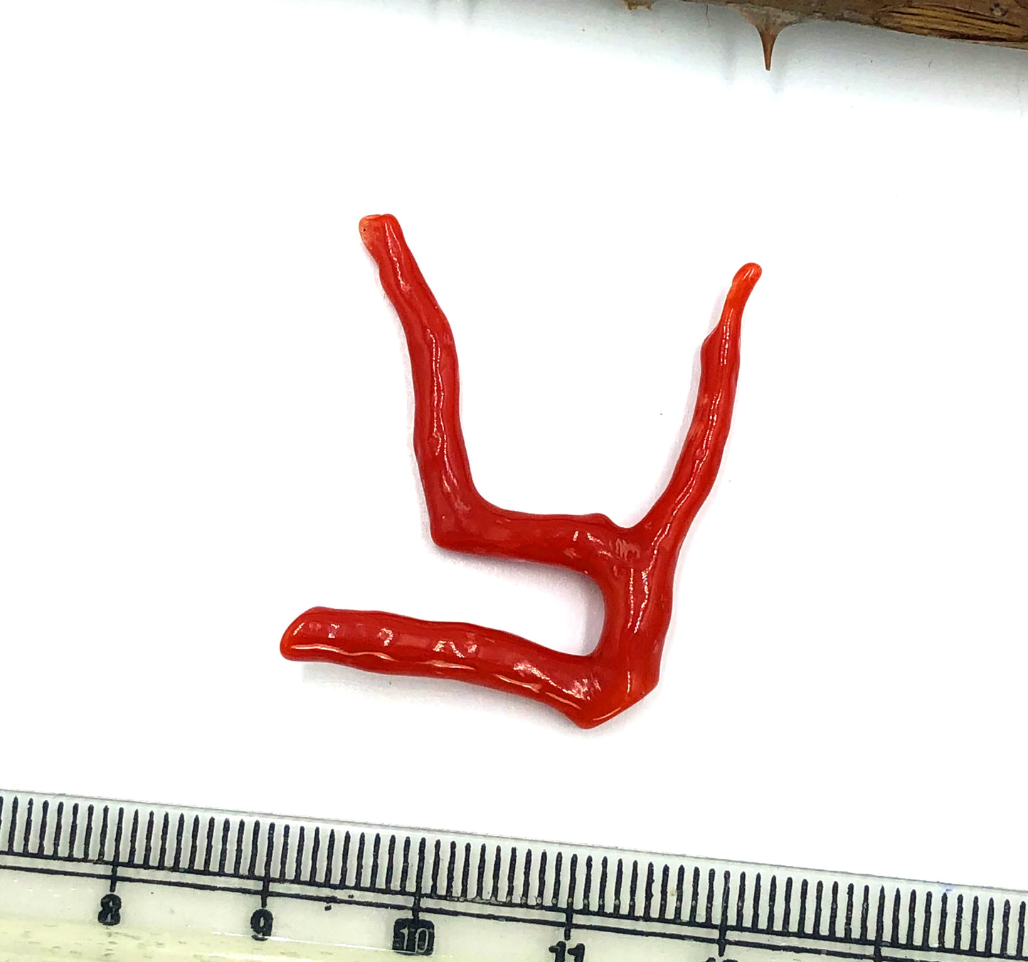 Tree Shape Mediterranean Red Coral, Making jewellery Branch, Natural Shape Coral Lop, Not Dyed, 100% Natural