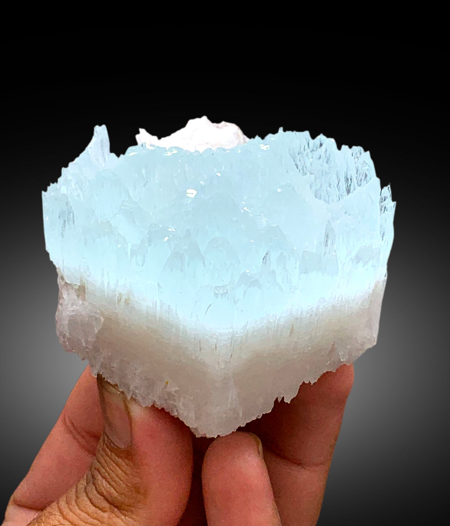 Bicolor Beryl, AquaMorganite with Feldspar, Morganite var Aquamarine with Etched Terminations - 196 gram