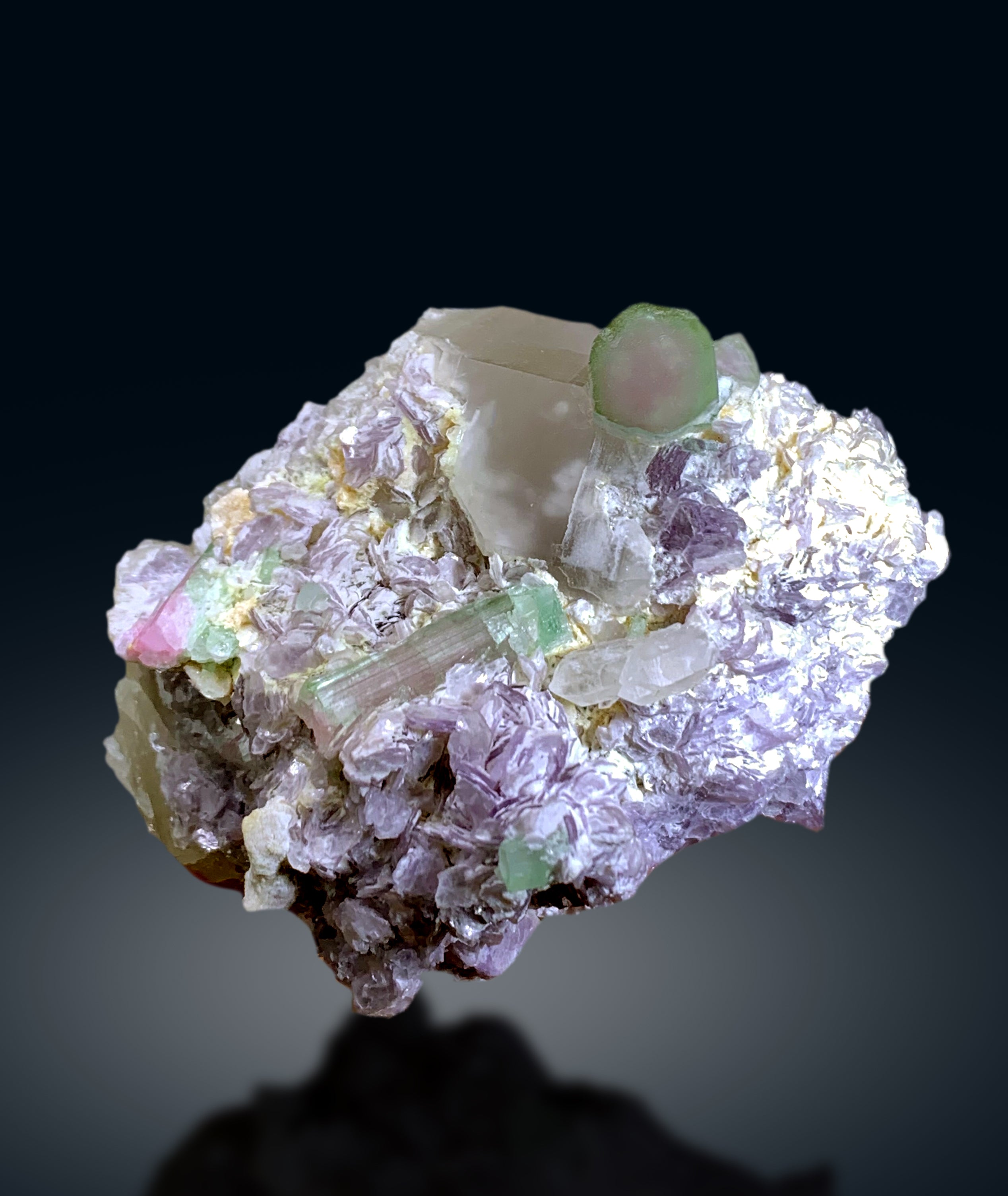 Bicolor Tourmaline Crystals with Quartz on Lepidolite from Afghanistan - 335 gram