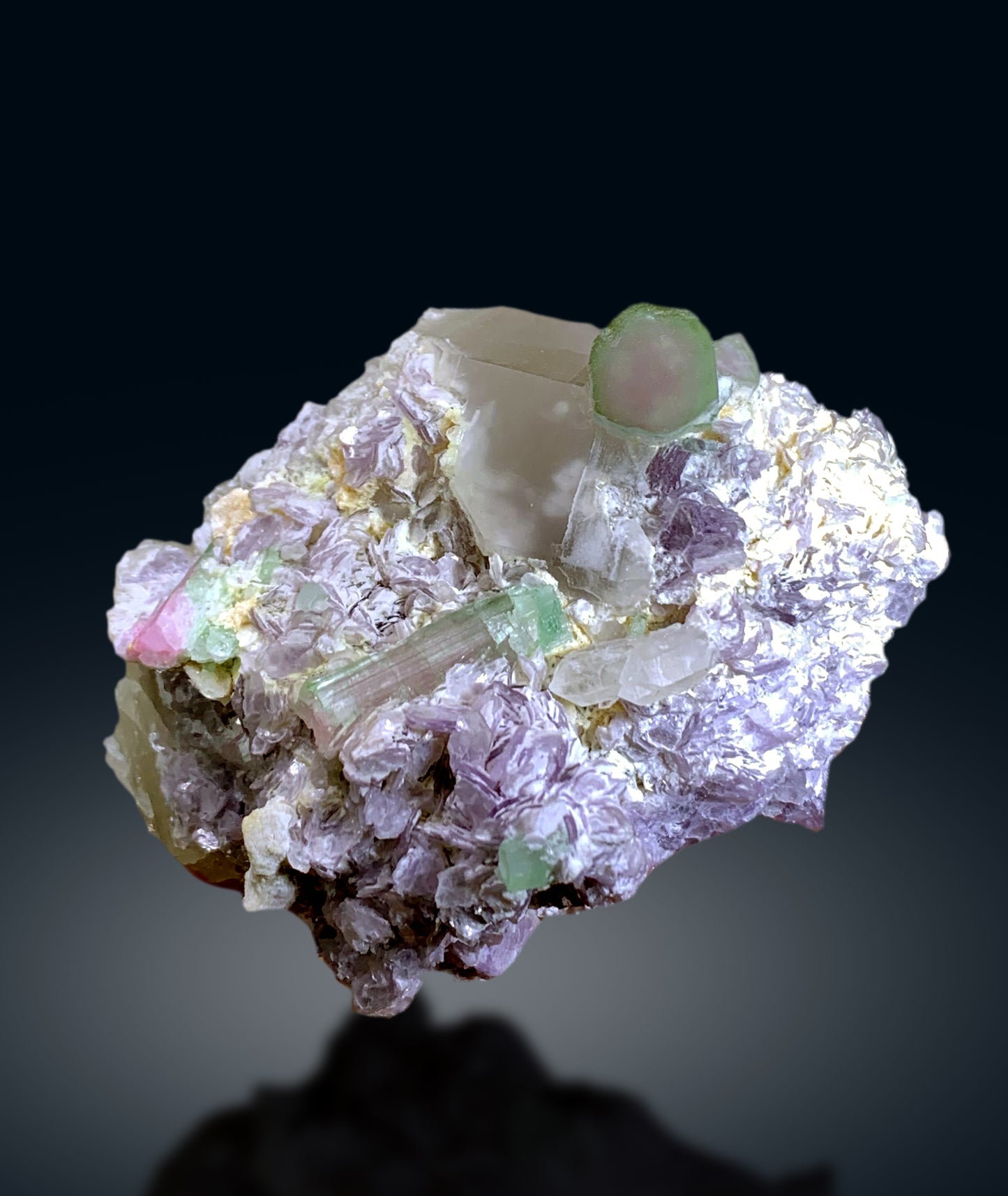 Bicolor Tourmaline Crystals with Quartz on Lepidolite from Afghanistan - 335 gram
