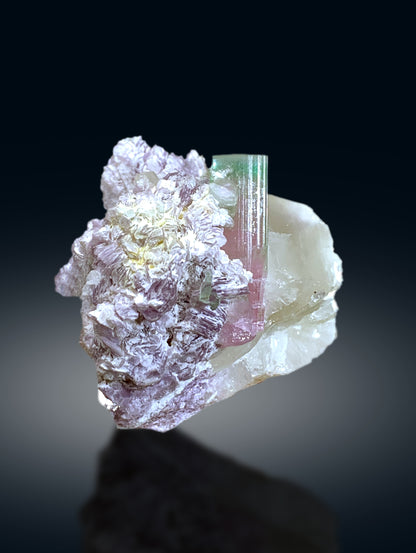 Bicolor Tourmaline Crystals with Quartz on Lepidolite from Afghanistan - 335 gram