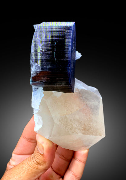Natural Blue Cap Tourmaline Crystal with Quartz from Paprok Afghanistan - 571 gram
