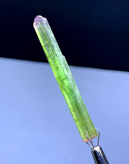 Natural Bicolor Lipstick Tourmaline Crystal from Paprok Afghanistan - 20.95 carat
